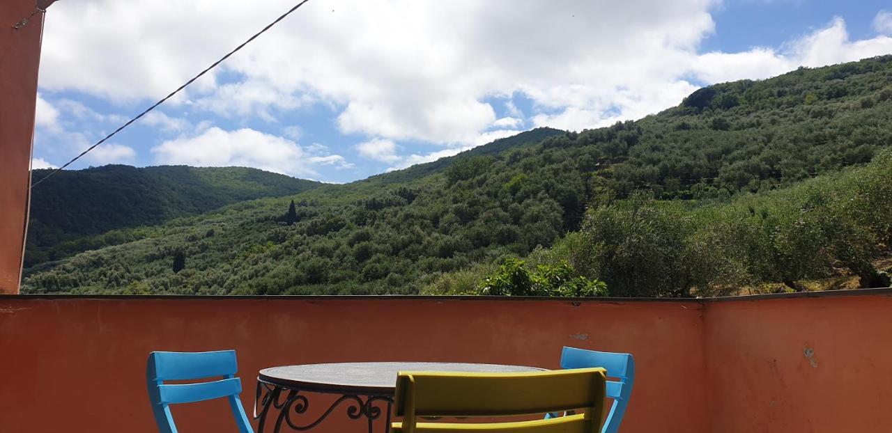 Immerso nel Verde Chiusavecchia Exterior foto