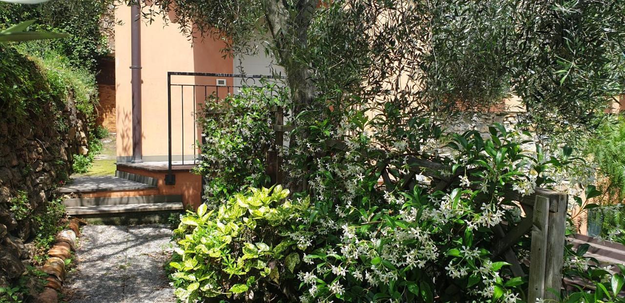 Immerso nel Verde Chiusavecchia Exterior foto