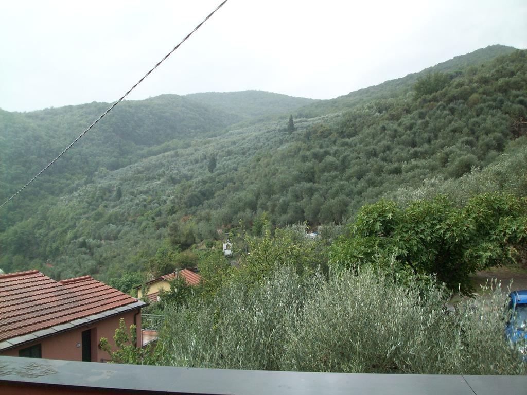 Immerso nel Verde Chiusavecchia Zimmer foto