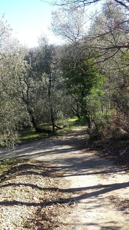 Immerso nel Verde Chiusavecchia Exterior foto
