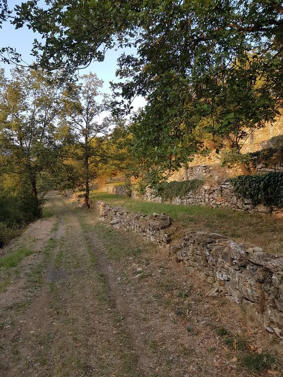 Immerso nel Verde Chiusavecchia Exterior foto