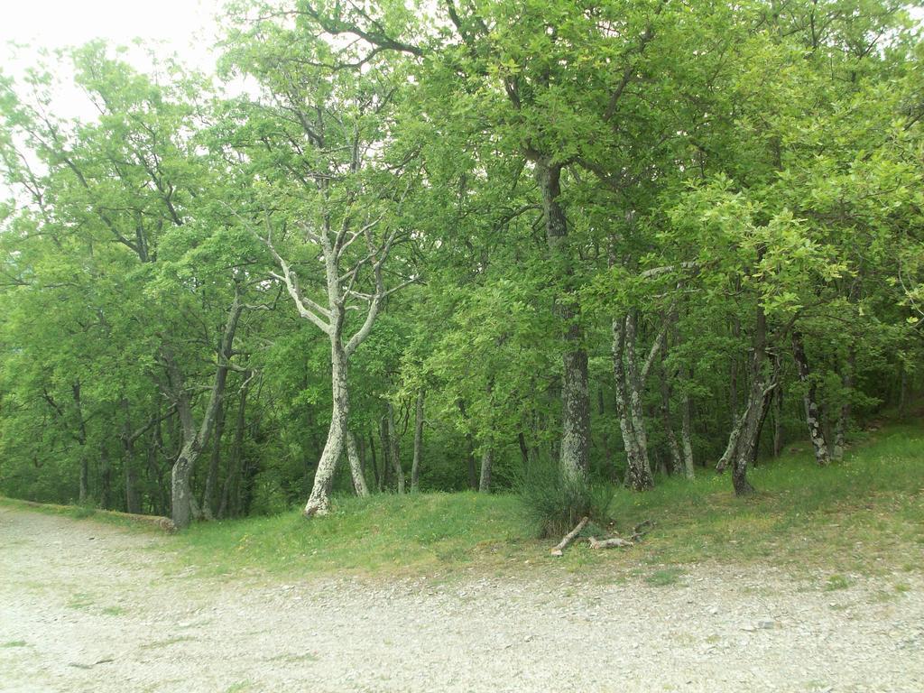 Immerso nel Verde Chiusavecchia Exterior foto