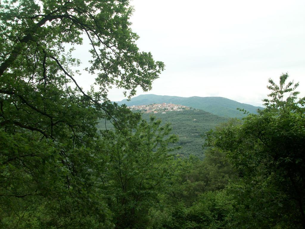 Immerso nel Verde Chiusavecchia Exterior foto