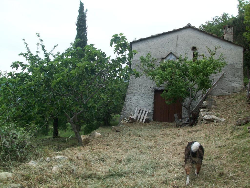 Immerso nel Verde Chiusavecchia Exterior foto