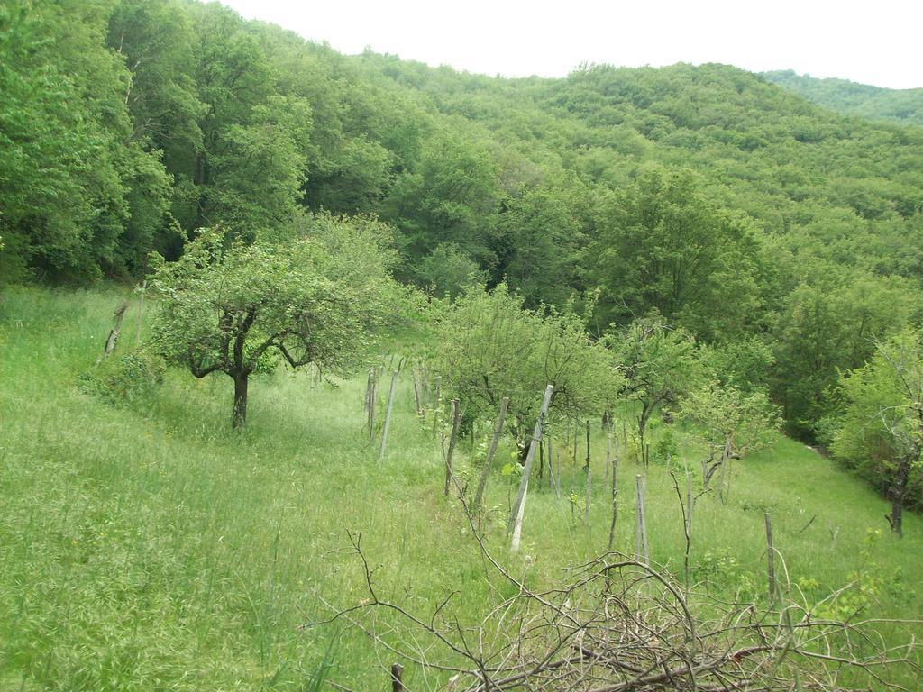 Immerso nel Verde Chiusavecchia Exterior foto