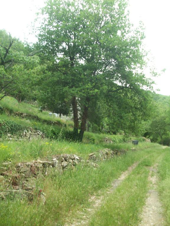 Immerso nel Verde Chiusavecchia Exterior foto