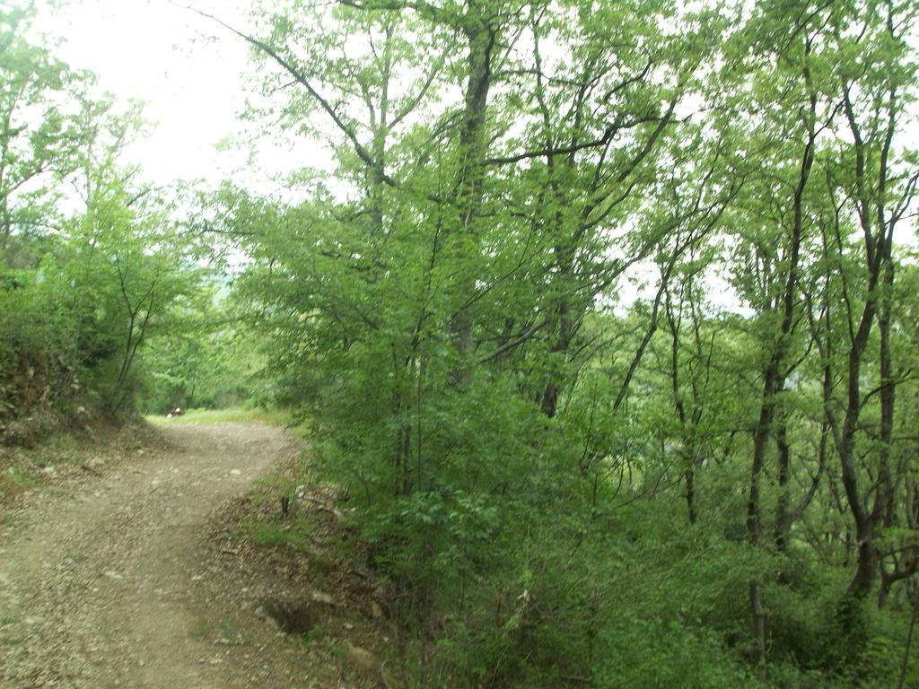 Immerso nel Verde Chiusavecchia Exterior foto