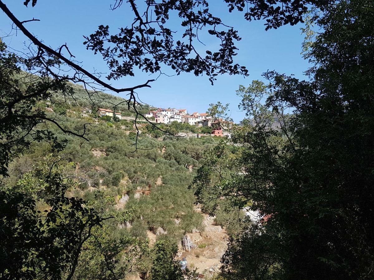 Immerso nel Verde Chiusavecchia Exterior foto