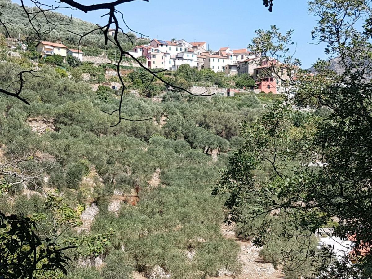 Immerso nel Verde Chiusavecchia Exterior foto