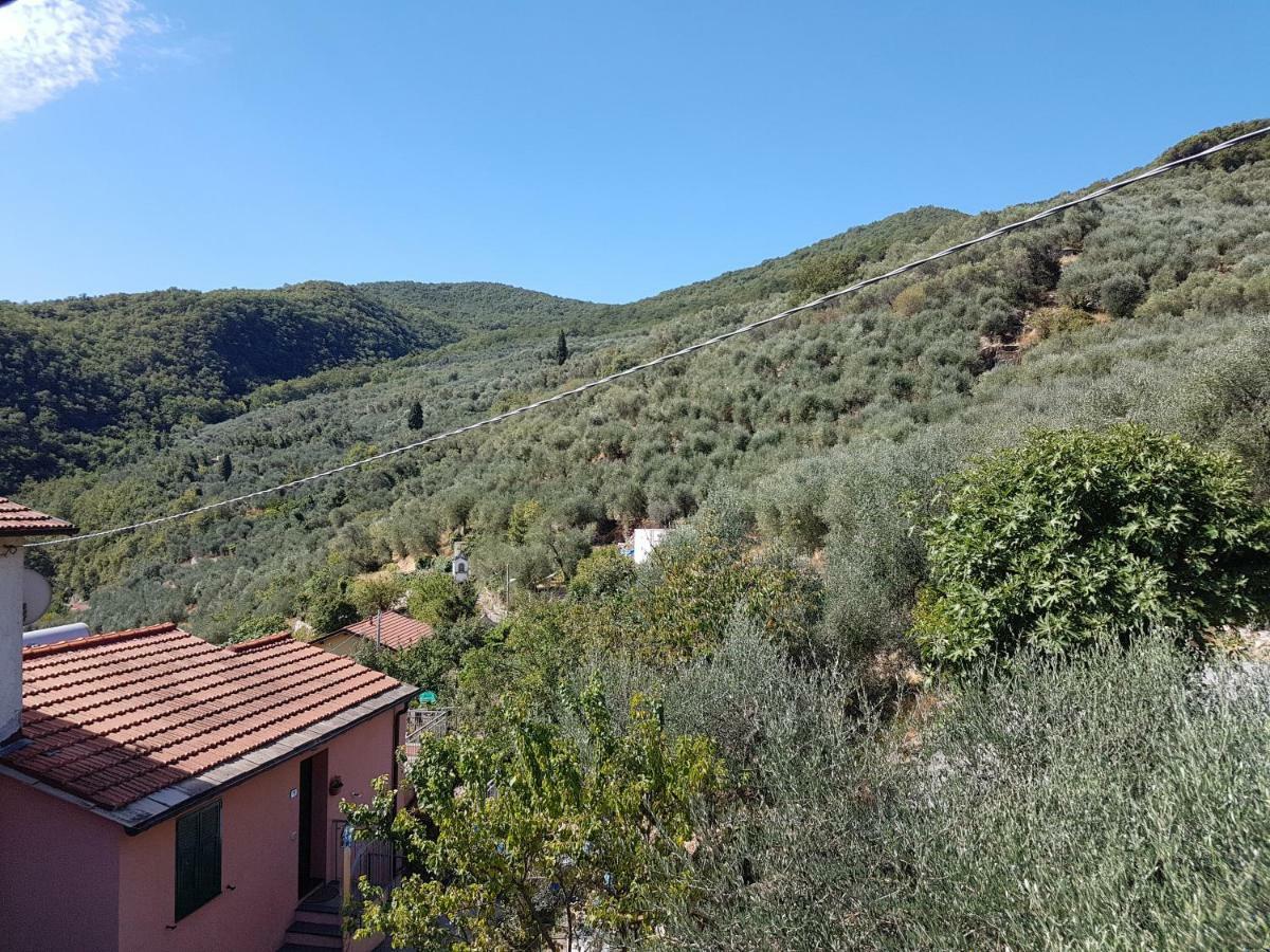 Immerso nel Verde Chiusavecchia Exterior foto