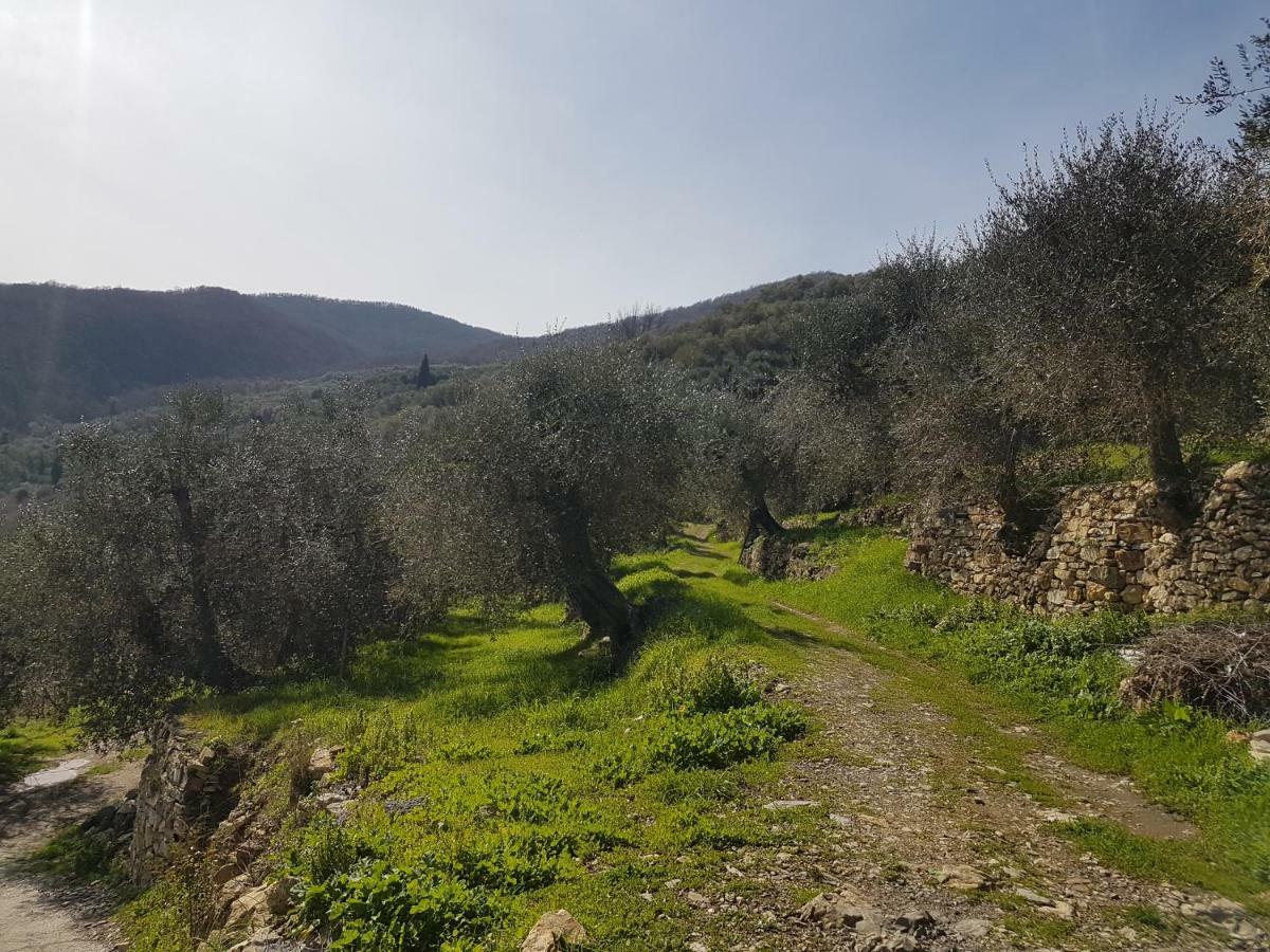 Immerso nel Verde Chiusavecchia Exterior foto