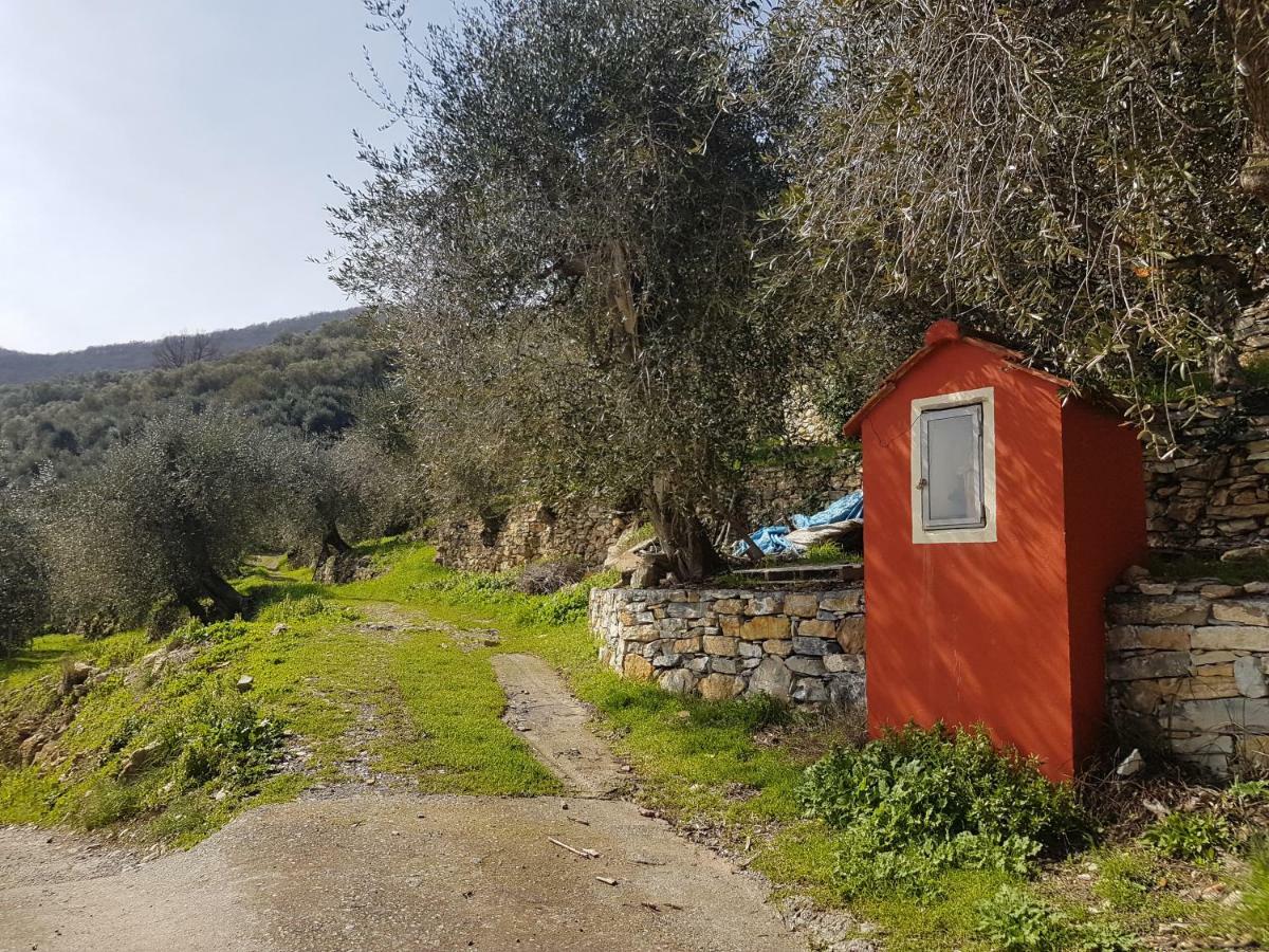 Immerso nel Verde Chiusavecchia Exterior foto