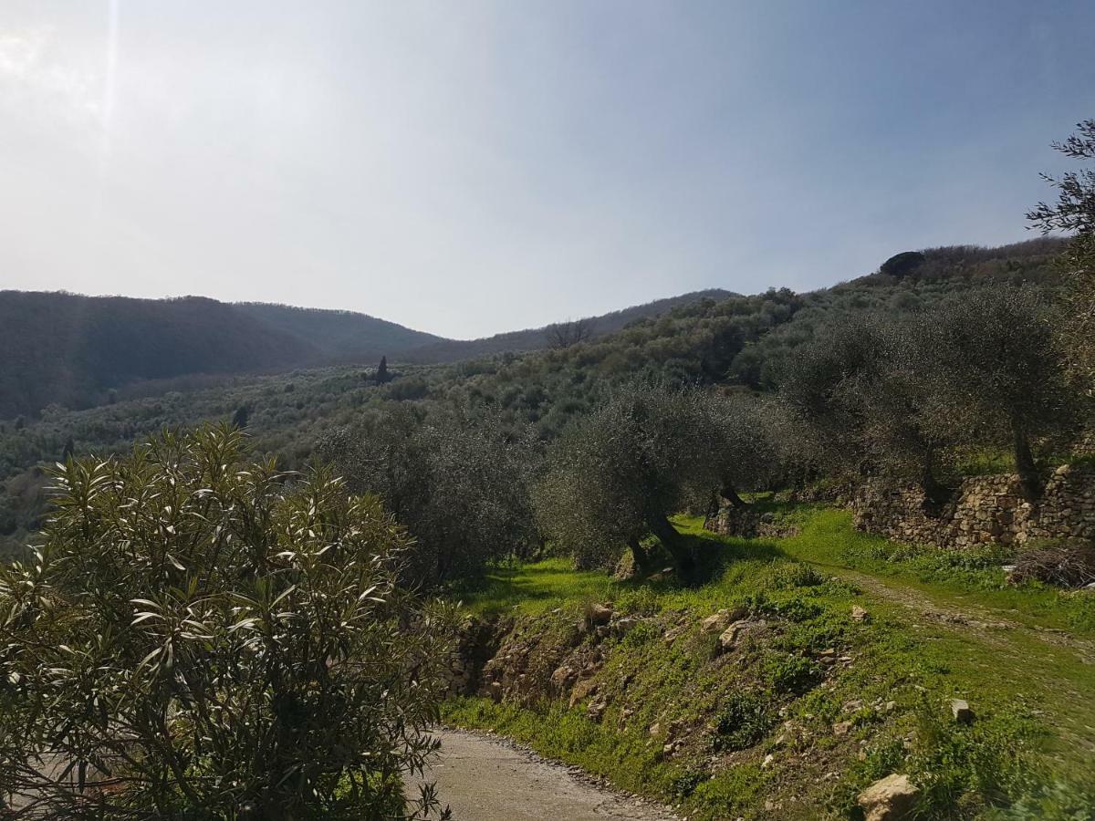 Immerso nel Verde Chiusavecchia Exterior foto