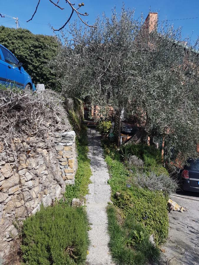 Immerso nel Verde Chiusavecchia Exterior foto